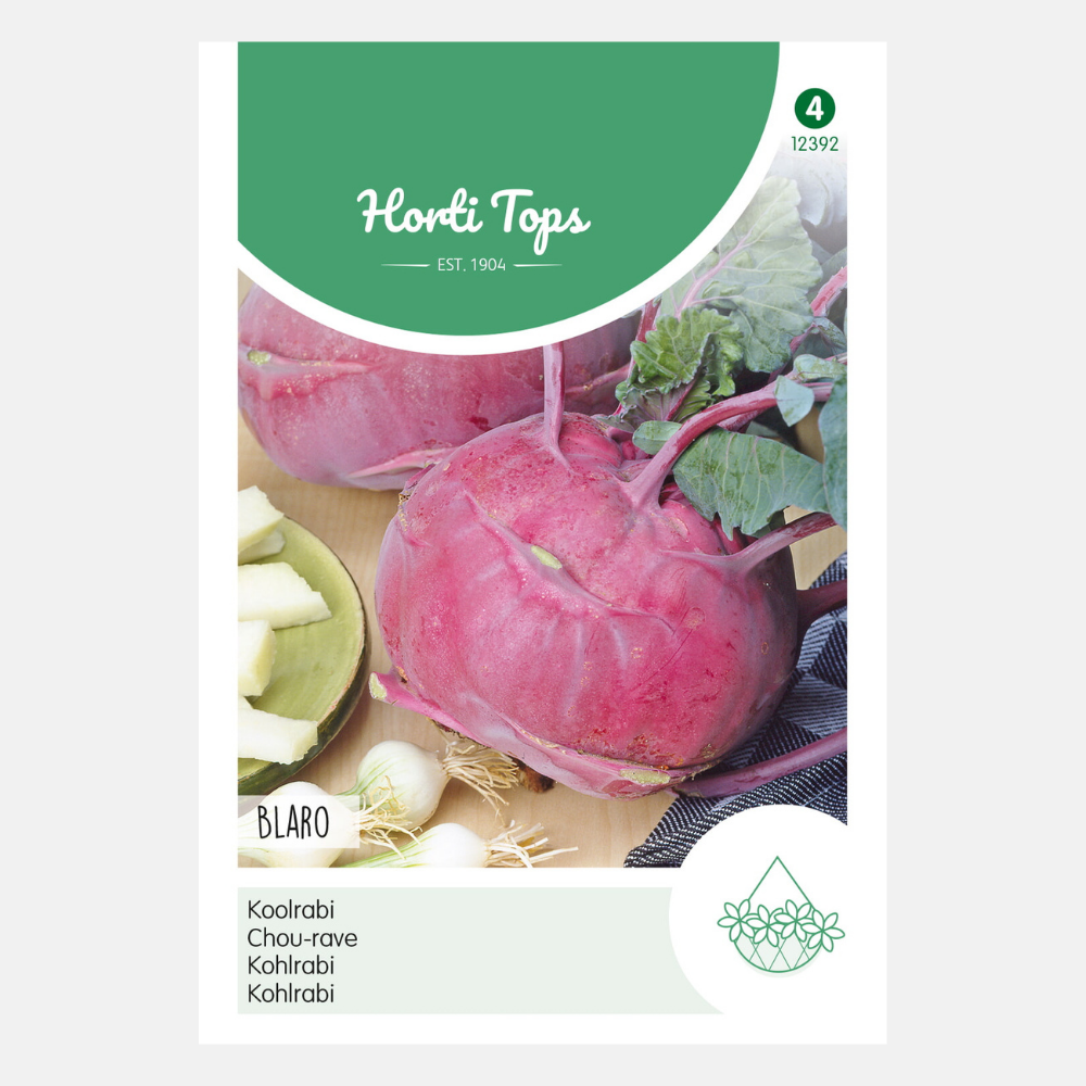 Kohlrabi Red Purple Blaro - Inhalt: 1,5 Gramm