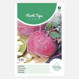 Kohlrabi Red Purple Blaro - Inhalt: 1,5 Gramm