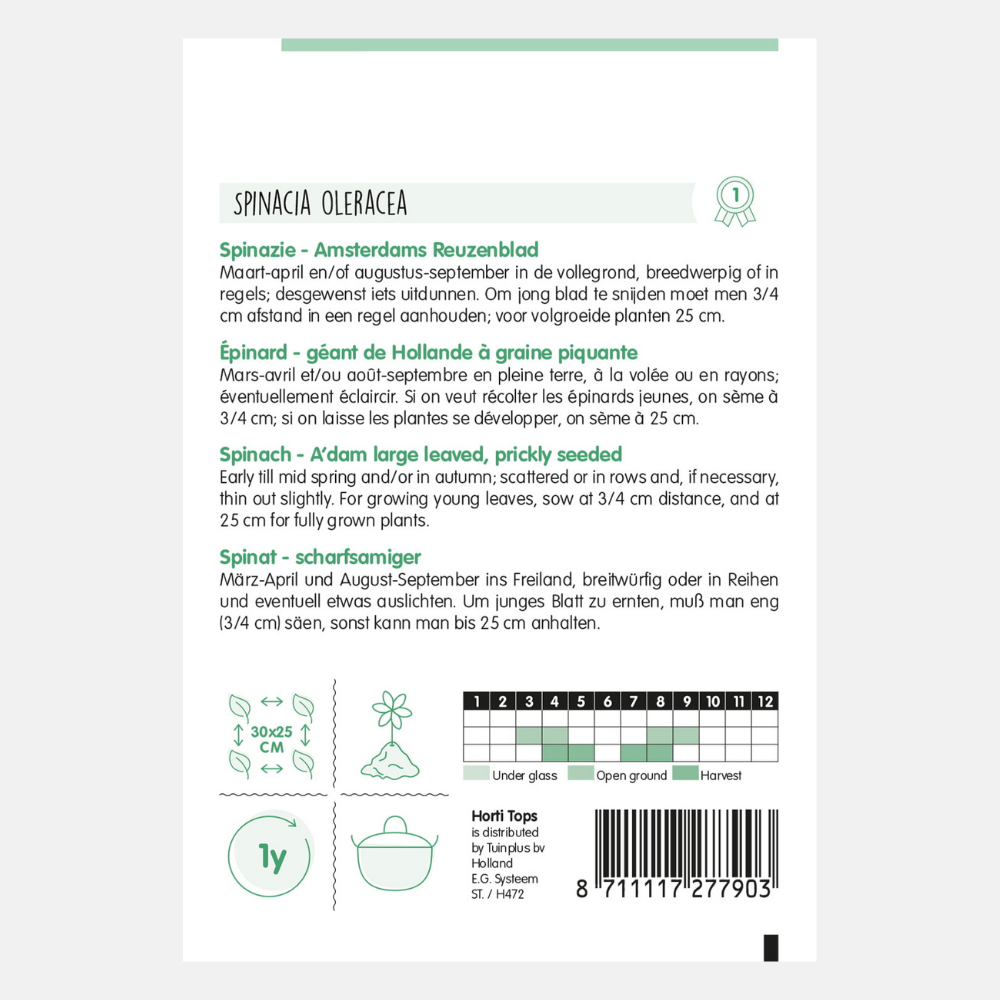 Spinat Amsterdam Giant Leaf Sharp Seed 15 Gramm 15 Gramm