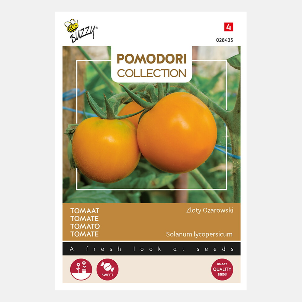 Orangefarbene Strauchtomate Pomodori Arancia 1,5 Gramm