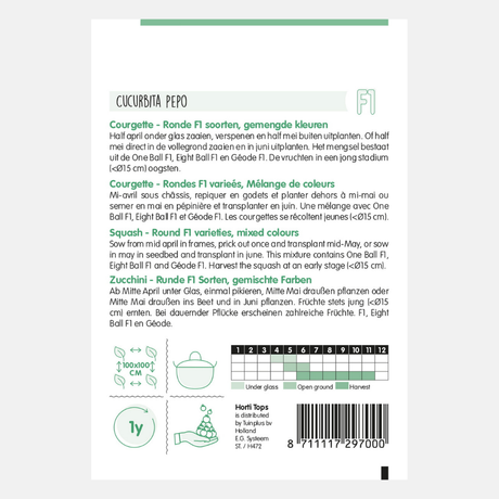 Courgette mixed round F1 1 gram (ca. 11 zdn)