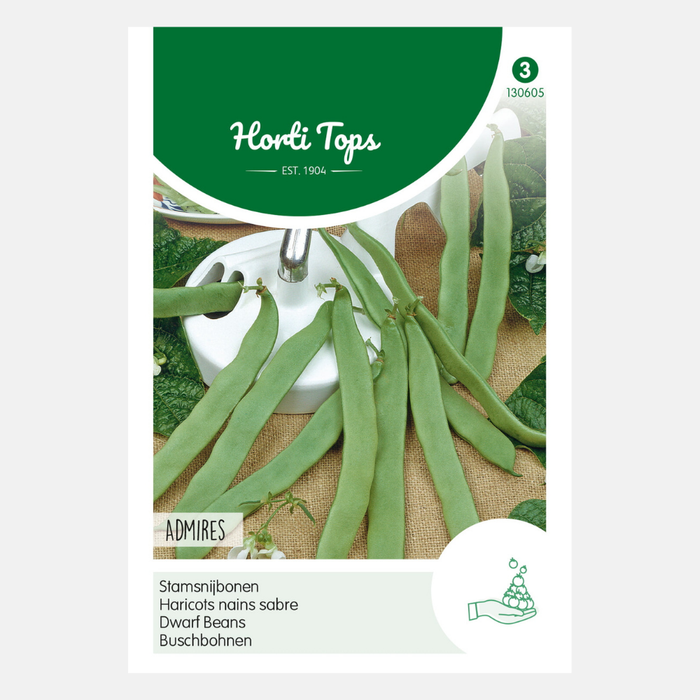 Bush runner beans 'Admires' – PLUKKERS