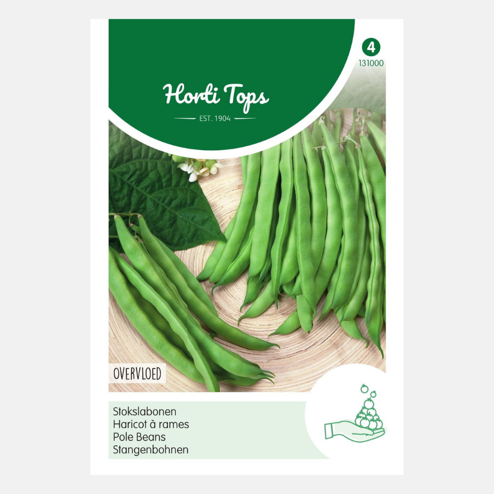 Abondance de haricots verts HT Stick. tapez Locataire. 25g