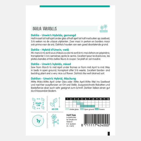 Dahlia Unwin'S Hybrid Mixed - Inhalt: 0,75 Gramm