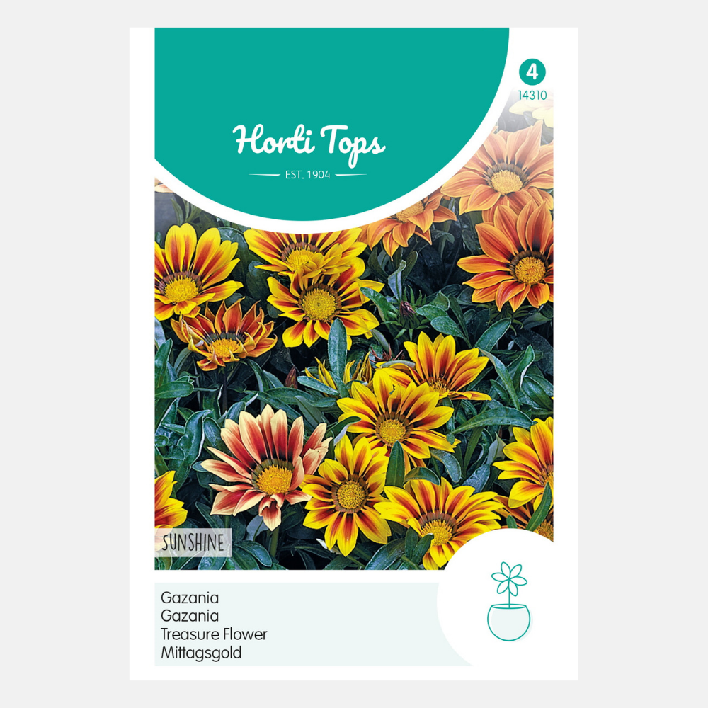 Gazania Afternoon Gold Sunshine Mixed – Inhalt: 0,25 Gramm