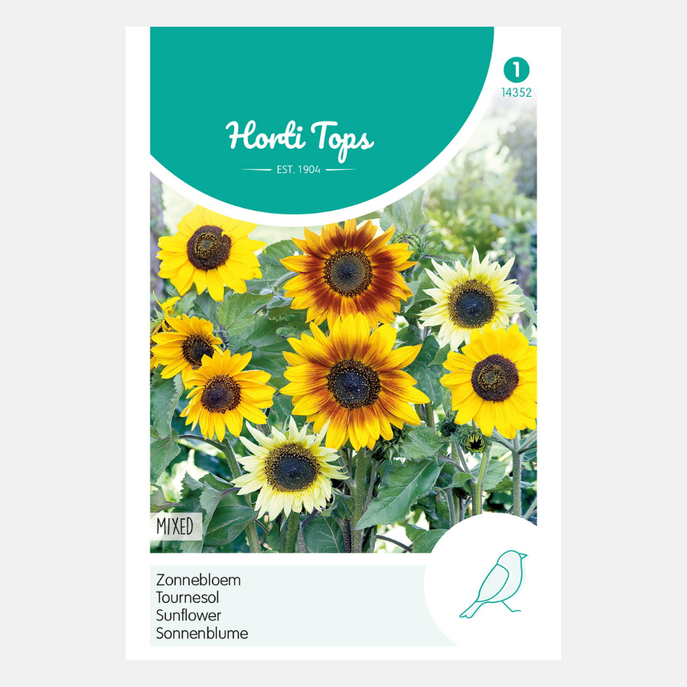 Fleur mélangée de tournesol diamètre 10 cm - contenu : 1 gramme Hortitops