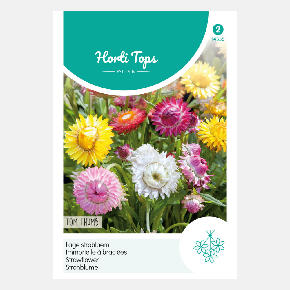 Niedrige Strohblume (Tom Thumb) – Inhalt: 0,75 Gramm Hortitops