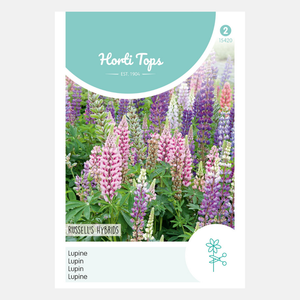 Lupine Russell's Hybrids gemischt - Inhalt: 2 Gramm Hortitops