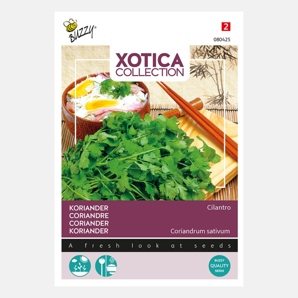 Buzzy® Xotica Coriandre Coriandre