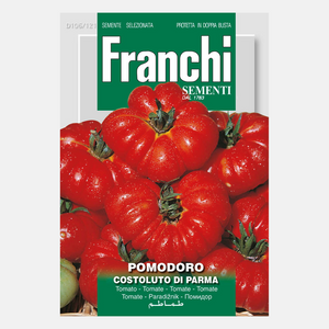 Tomate 'Pomodoro Costoluto de Parma' Franchi