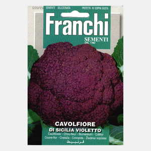 Franchi Blumenkohl Veilchen Cavolfiore Sicilia Violetto