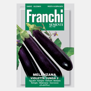 Aubergine 'Melanzana Violetta Lunga 2'