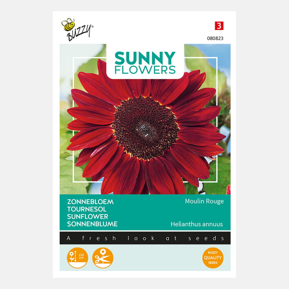 Buzzy® Sunny Flowers. Sonnenblumen-Moulin Rouge