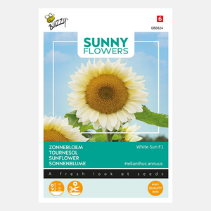 Buzzy® Sunny Flowers. Sonnenblume Weiße Sonne F1