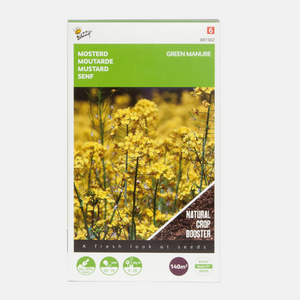 Engrais vert moutarde jaune 140 grammes Buzzy Seeds