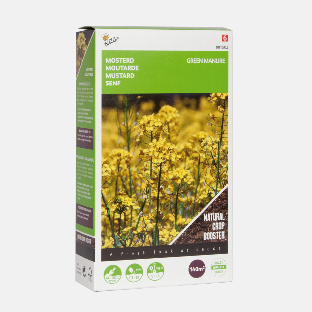 Engrais vert moutarde jaune 140 grammes Buzzy Seeds