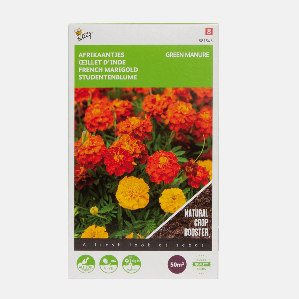 Engrais vert Tagetes Soucis Bonita 50g Buzzy