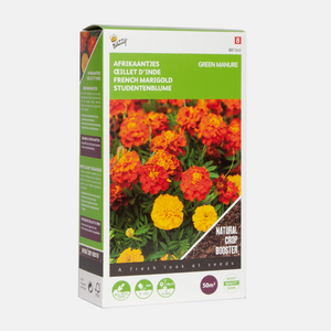 Engrais vert Tagetes Soucis Bonita 50g Buzzy