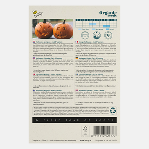 Buzzy® Citrouille biologique 'Jack O'Lantern' BIO