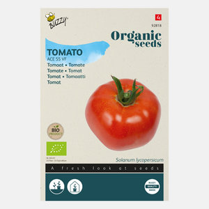 Tomaten 'Ace 55VF' BIO