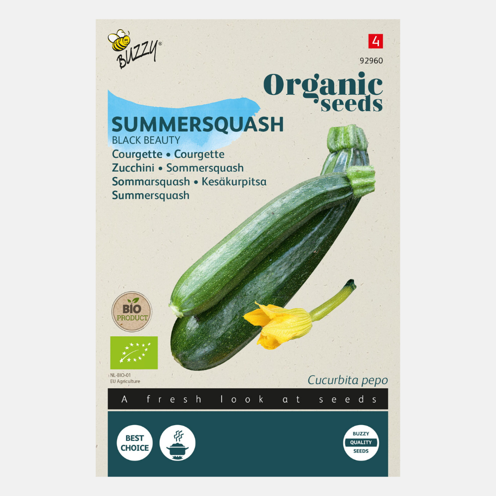 Courgette 'Black Beauty' BIO