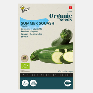 Buzzy Organic Zucchini Dunja F1 (BIO) – Inhalt: 7 Samen