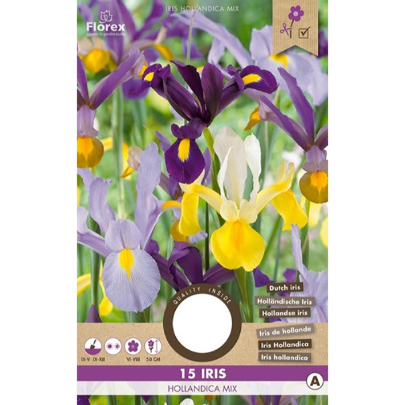 Iris Hollandica mix - 15 stuks