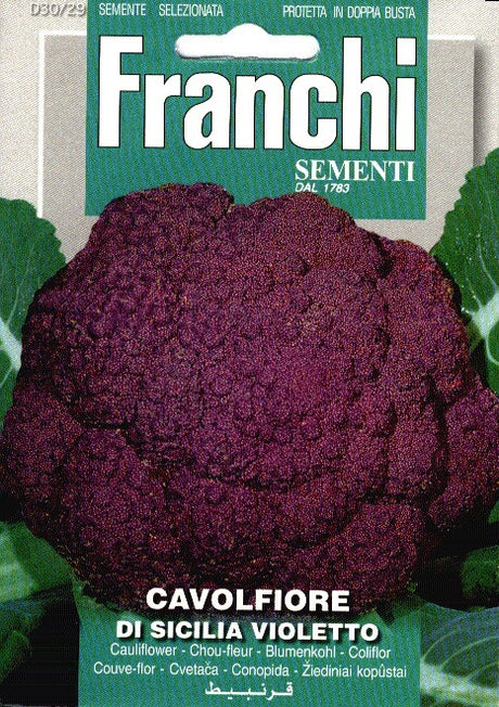 Franchi Bloemkool Violet Cavolfiore Sicilia Violetto