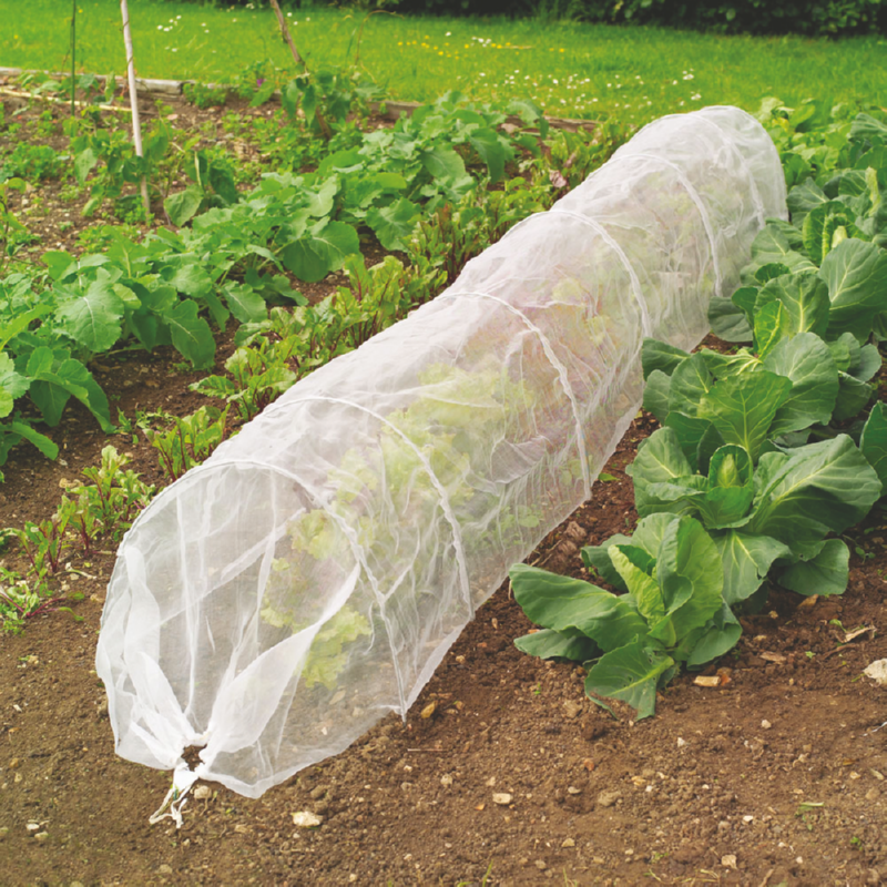 Tunnel de culture Grow-it avec filet anti-insectes 3,1x0,5m