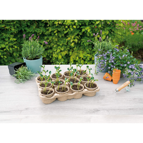 SOGO Eco kweektray incl. 12 paperpots