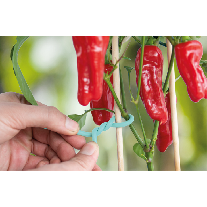 SOGO Rubber band with iron wire