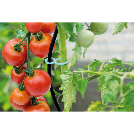 SOGO Tomaten clips 15st