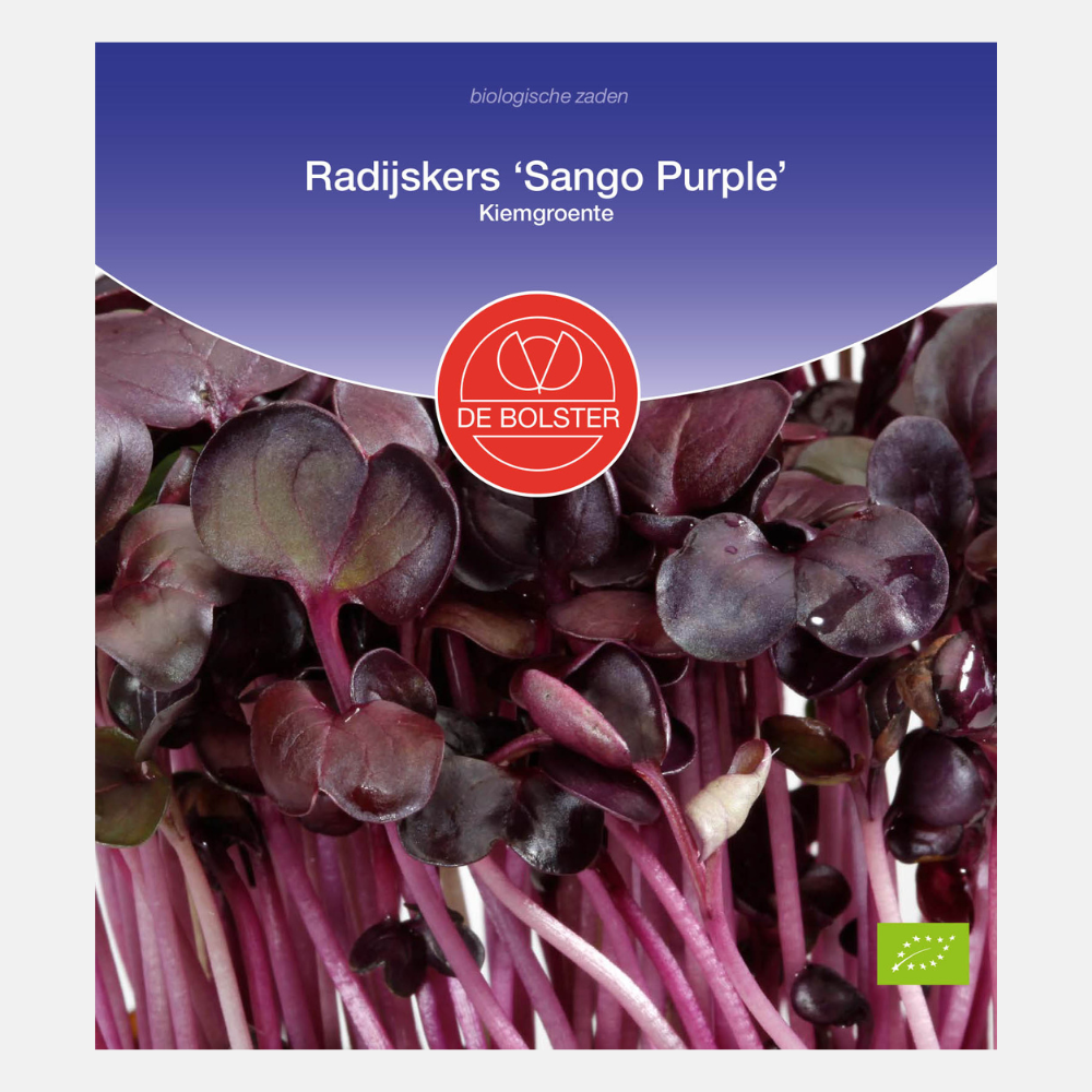 Radijskers 'Sango Purple' - Kiemgroenten BIO