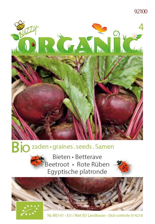 Bieten Egyptische platronde BIO te koop Moestuinweetjes.com