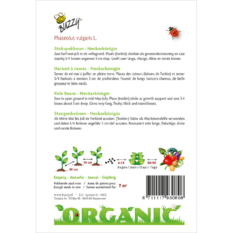 Buzzy Organic Stick Bacon Haricot Neckarkönigin (BIO)