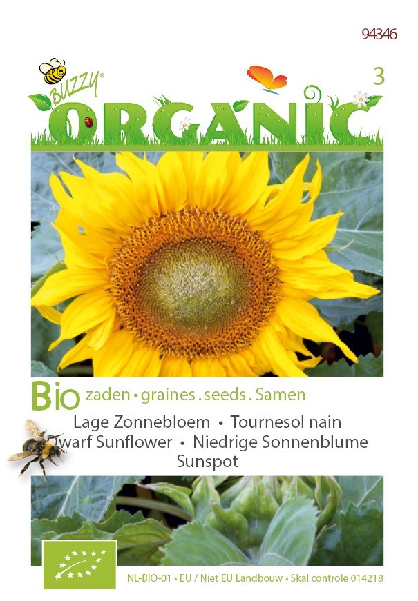 Zonnebloem Sunspot BIO te koop op Moestuinweetjes.com