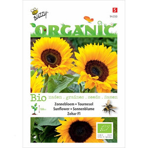 Bio-Sonnenblume Zohar F1 (BIO) – Inhalt: 1 Gramm