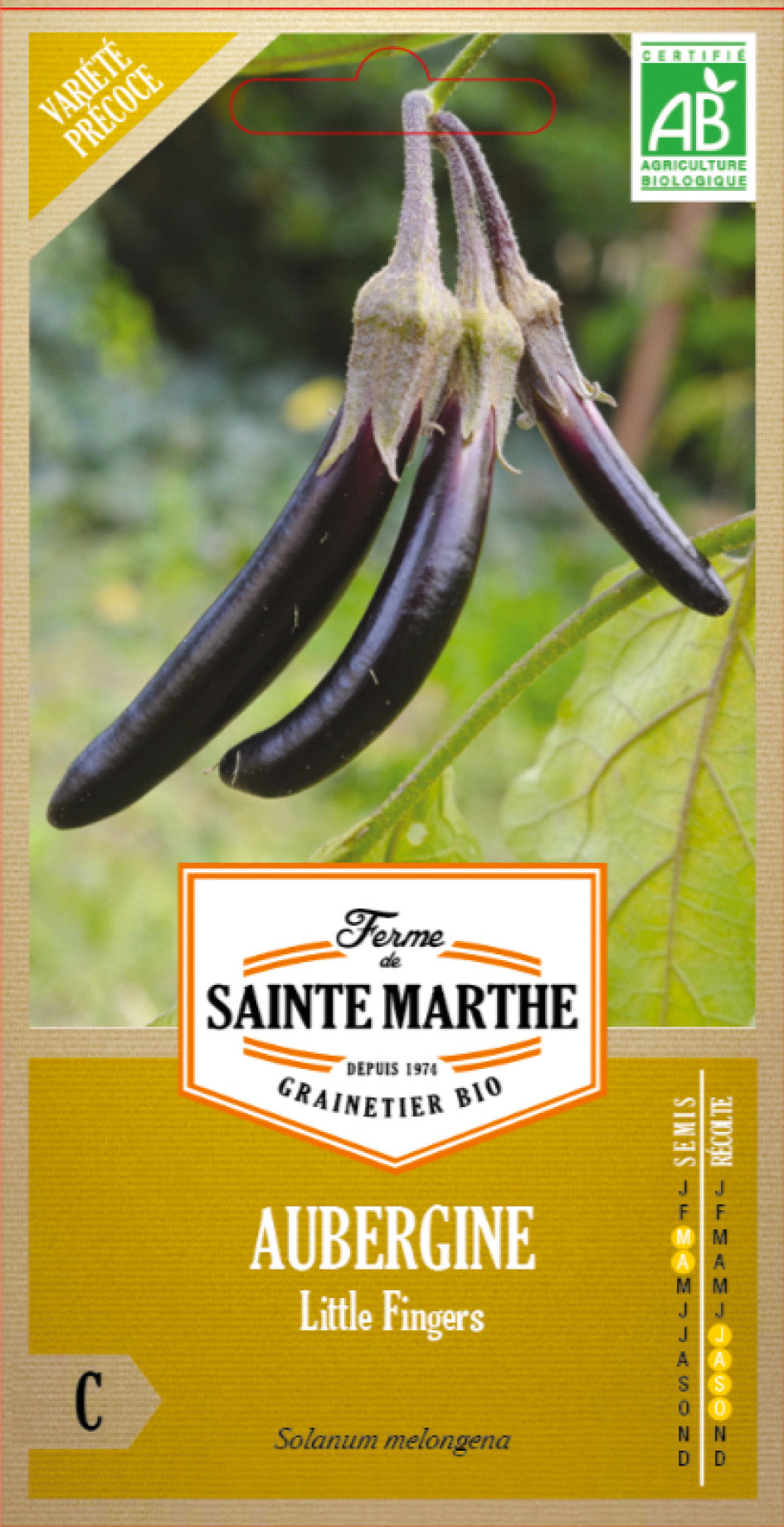 Aubergine 'Little Fingers' Bio-Samen