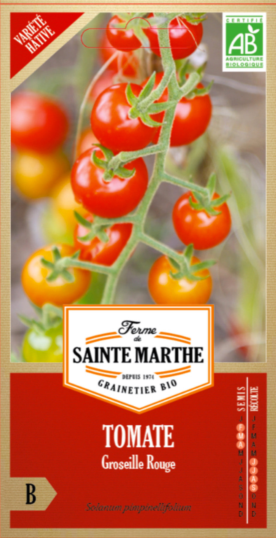 Graines de Tomate Groseille Rouge BIO (variété précoce)