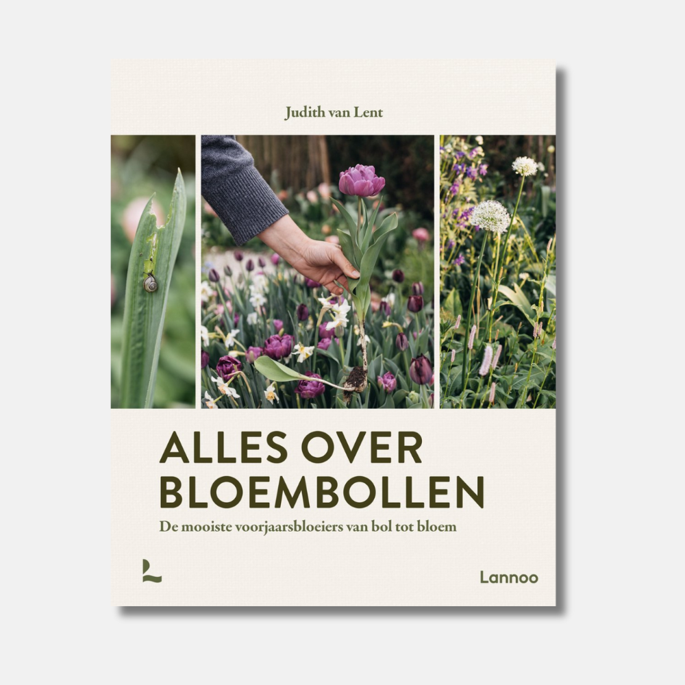 Alles over bloembollen