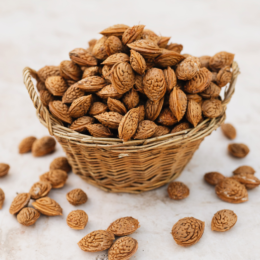 Amandier 'Robijn' - Racine nue