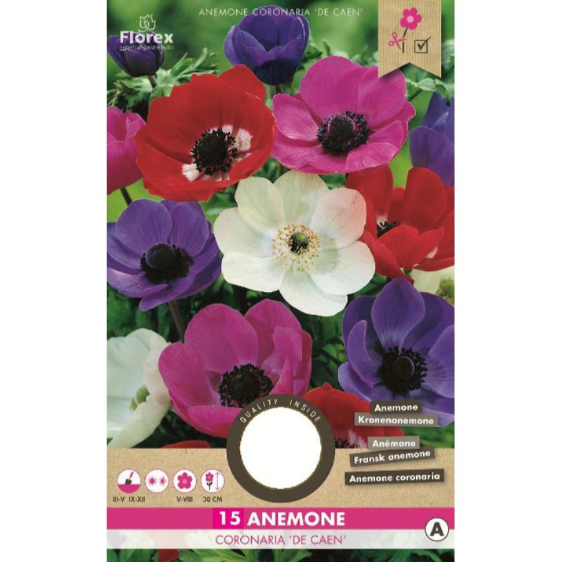 Anemone De Caen Gemengd 5/6 20 stuks