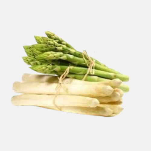 Plante d'asperge 'Backlim' pour la culture d'asperges vertes et blanches BIO