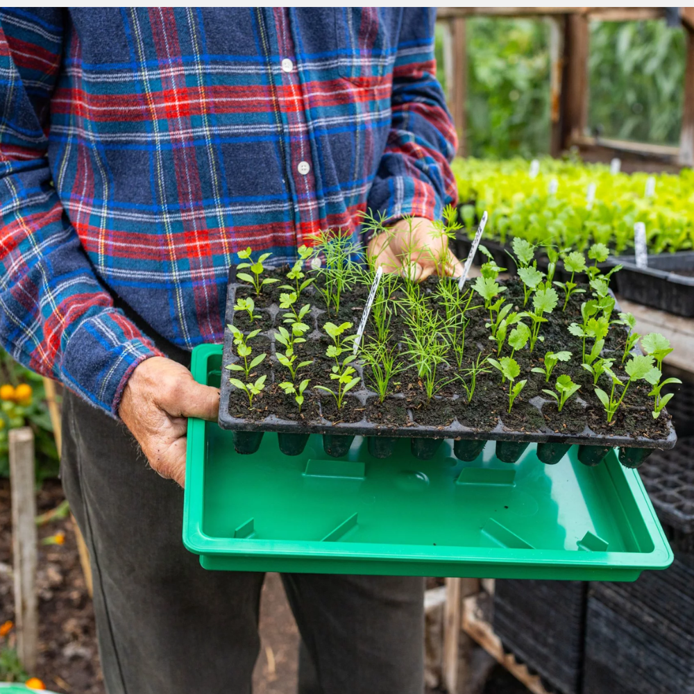 Onderstel voor compacte tray