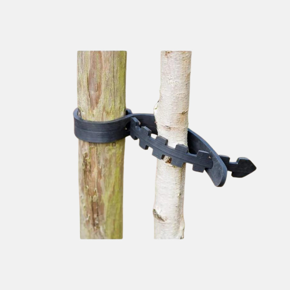 Tree band for fruit trees - 60 cm long