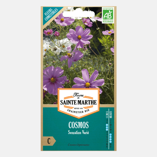 Cosmos bipinnatus 'Sensation mix' (cosmea) gemengd BIO