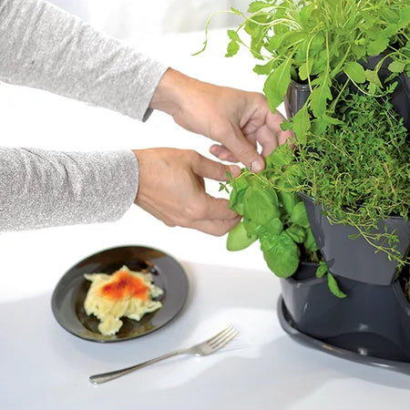 tour à herbes pot à herbes Coubi avec réservoir d'eau intégré 