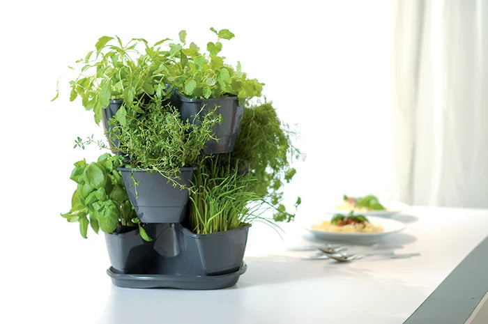 tour à herbes pot à herbes Coubi avec réservoir d'eau intégré 