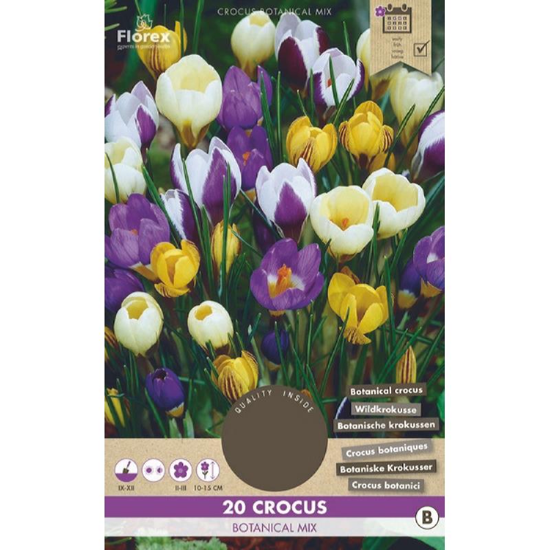 Krokus Botanisch mix - 20 stuks