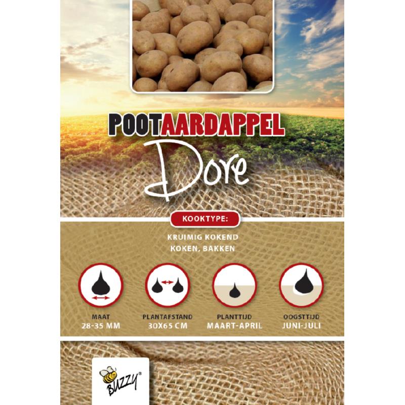 Pootaardappel Dore 28/35 zeer vroeg (kies hoeveelheid)